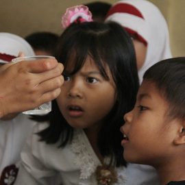 SD Sarijadi Selatan 1,2